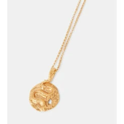 Alighieri The Medusa Medallion 24kt Gold-plated Necklace -Aquazzura Shop unnamed file 841