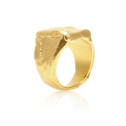 Alighieri The Lost Dreamer 24kt Gold-plated Ring 5 Alighieri The Lost Dreamer 24kt Gold-plated Ring -Aquazzura Shop unnamed file 967