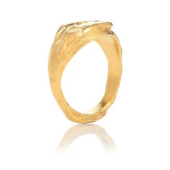 Alighieri The Infernal Storm 24kt Gold-plated Sterling Silver -Aquazzura Shop unnamed file 978